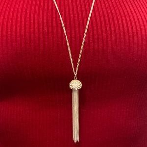 ❤️ Silver Tassel Necklace ❤️